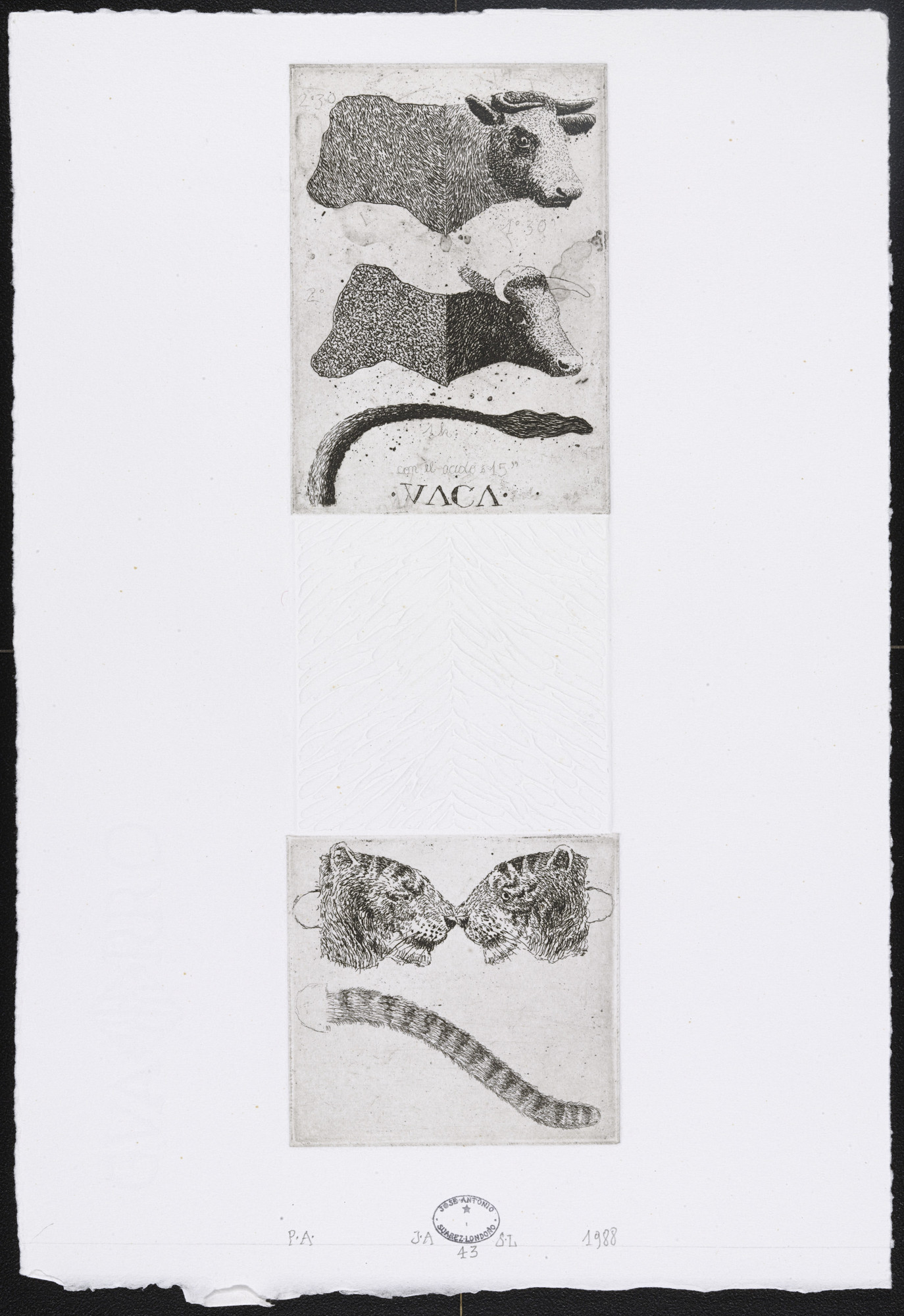 José Antonio Suárez Londoño. Untitled #43
