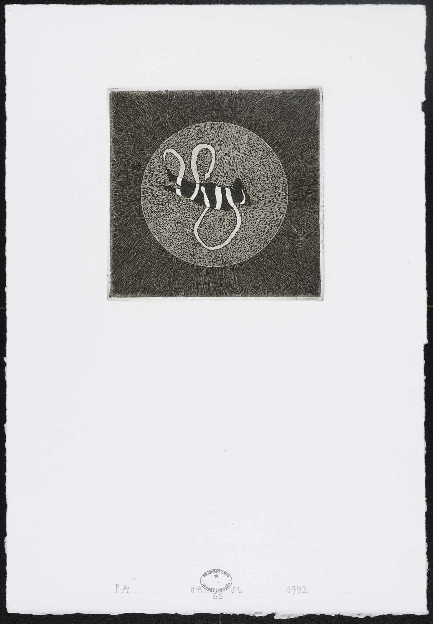 José Antonio Suárez Londoño. Untitled #65