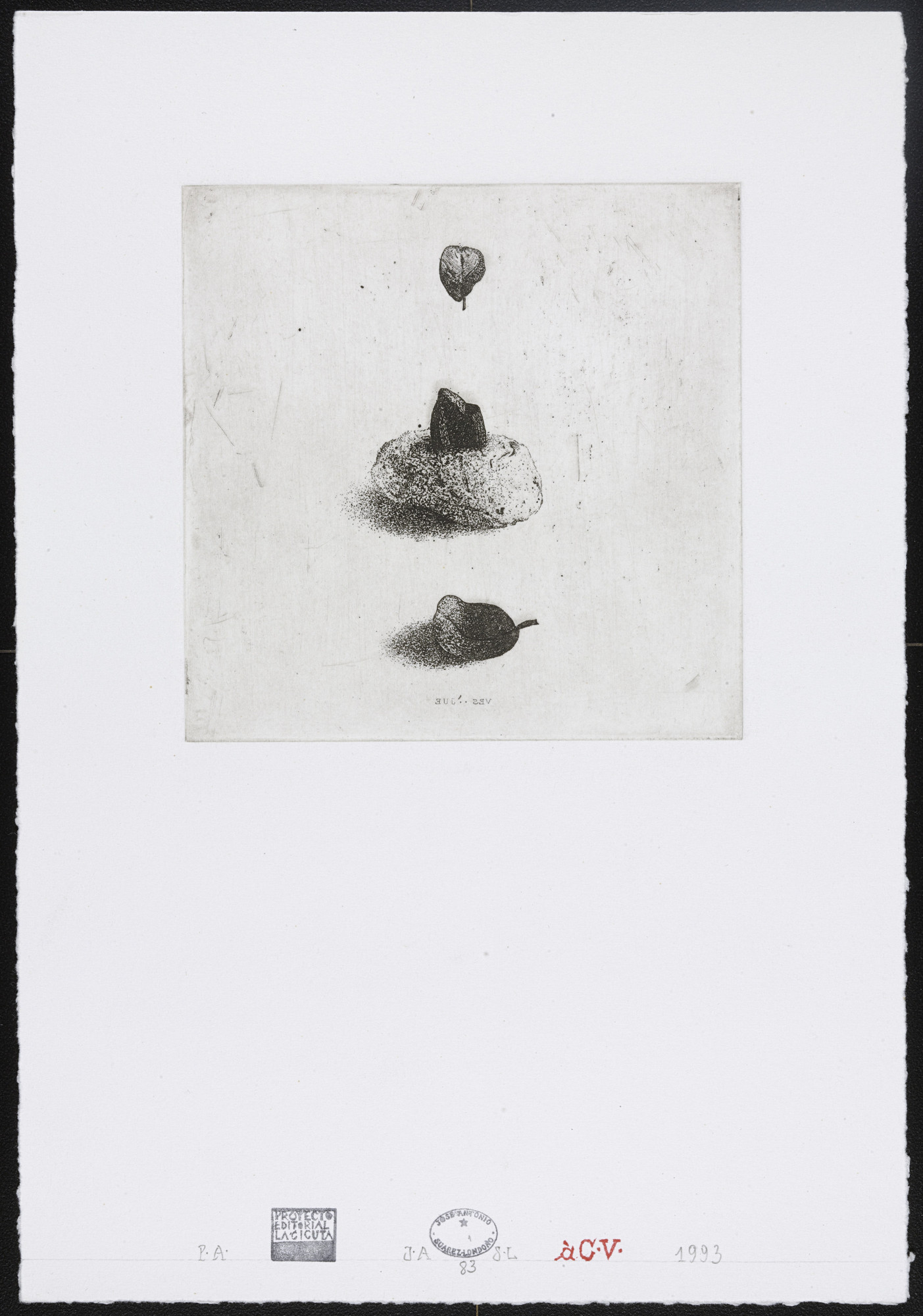 José Antonio Suárez Londoño. Untitled #83