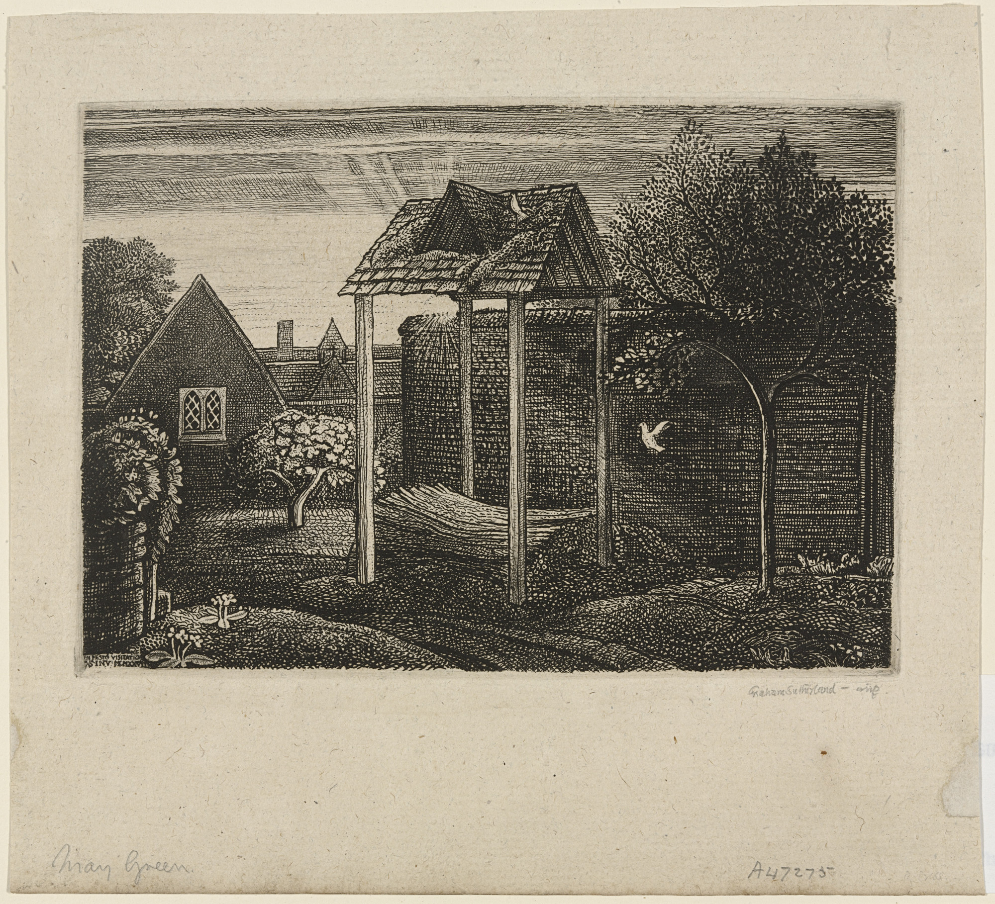 Graham Sutherland | MoMA