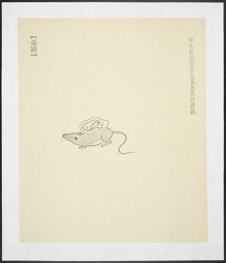 Nie Shu from New Classic of Mountains and Seas