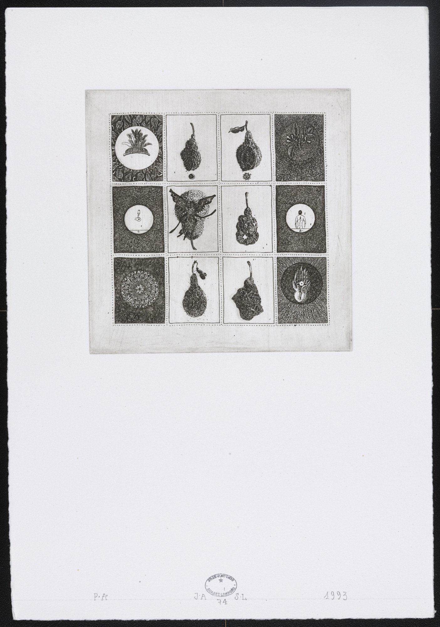 José Antonio Suárez Londoño. Untitled #74