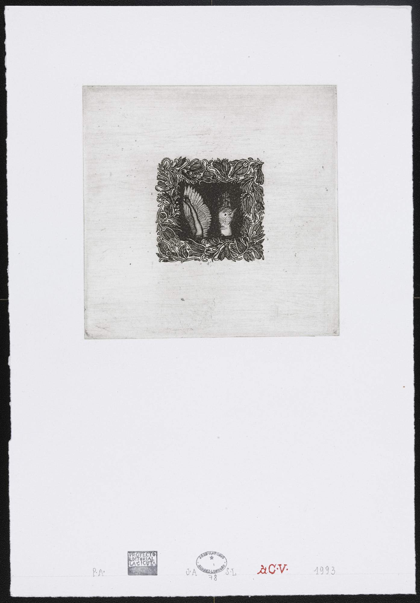 José Antonio Suárez Londoño. Untitled #78