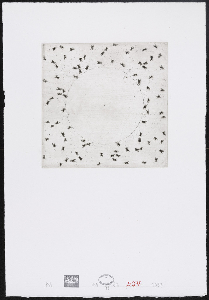 Untitled #79