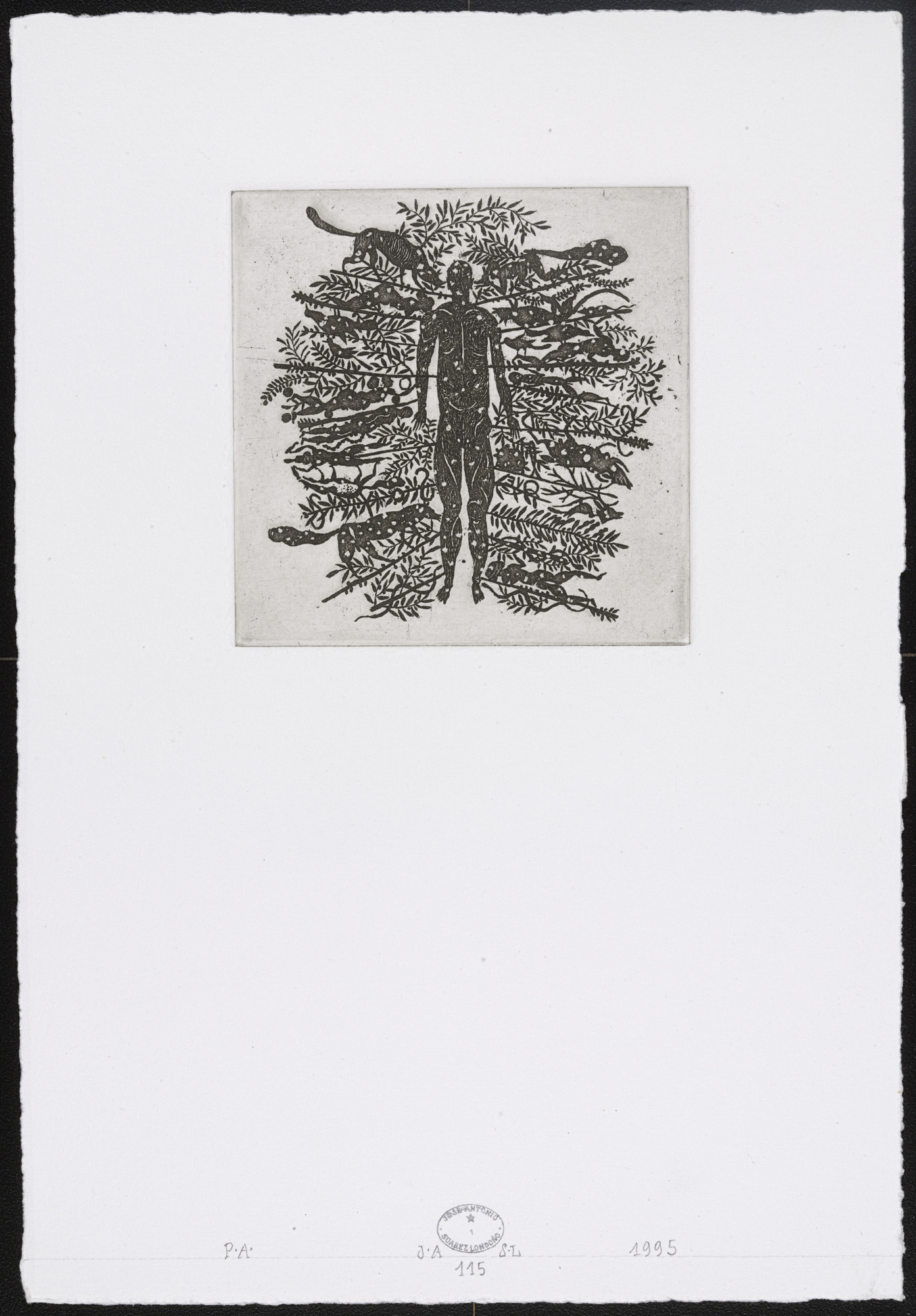 José Antonio Suárez Londoño. Untitled #115