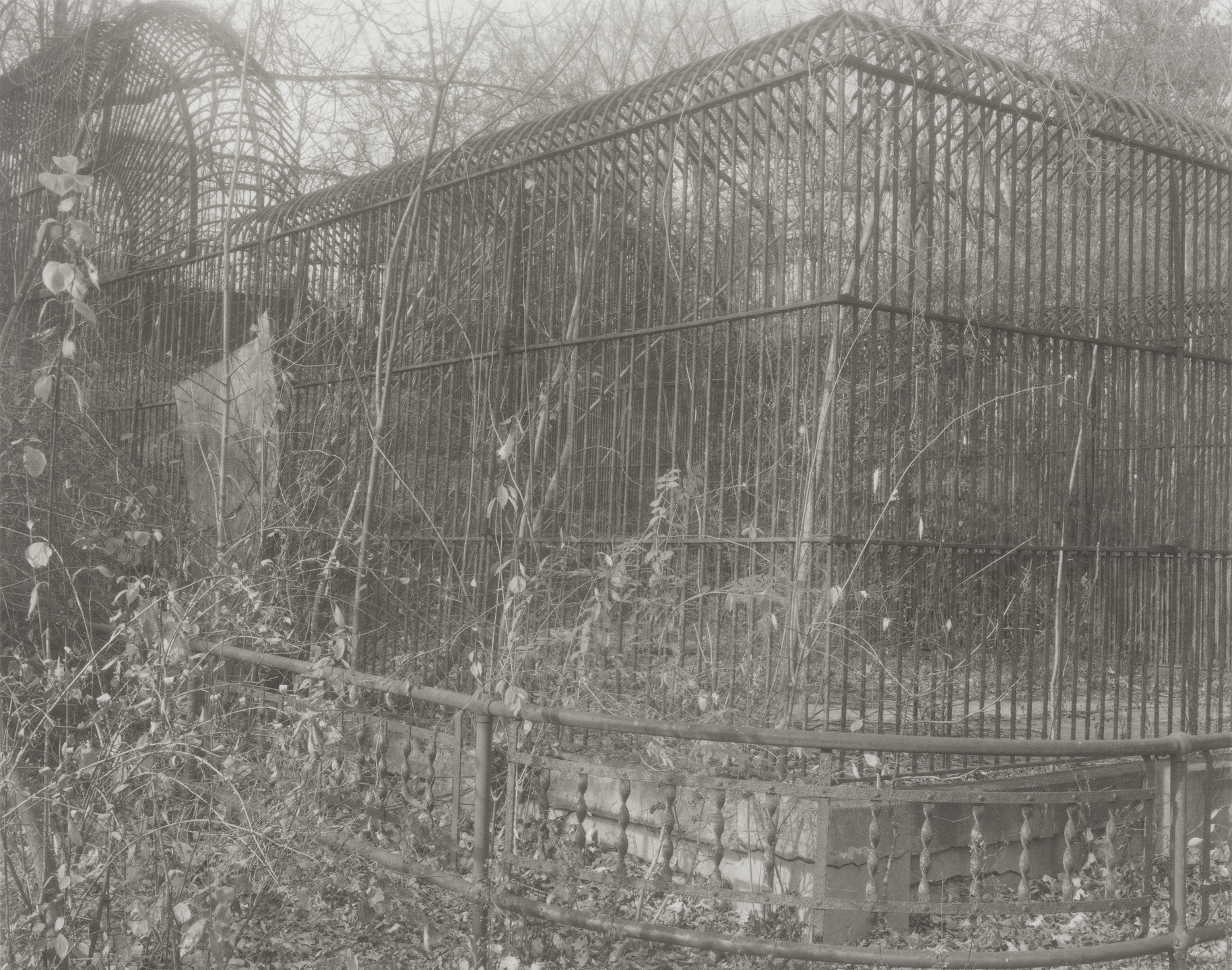 Madoka Takagi. Bronx Zoo. 1989