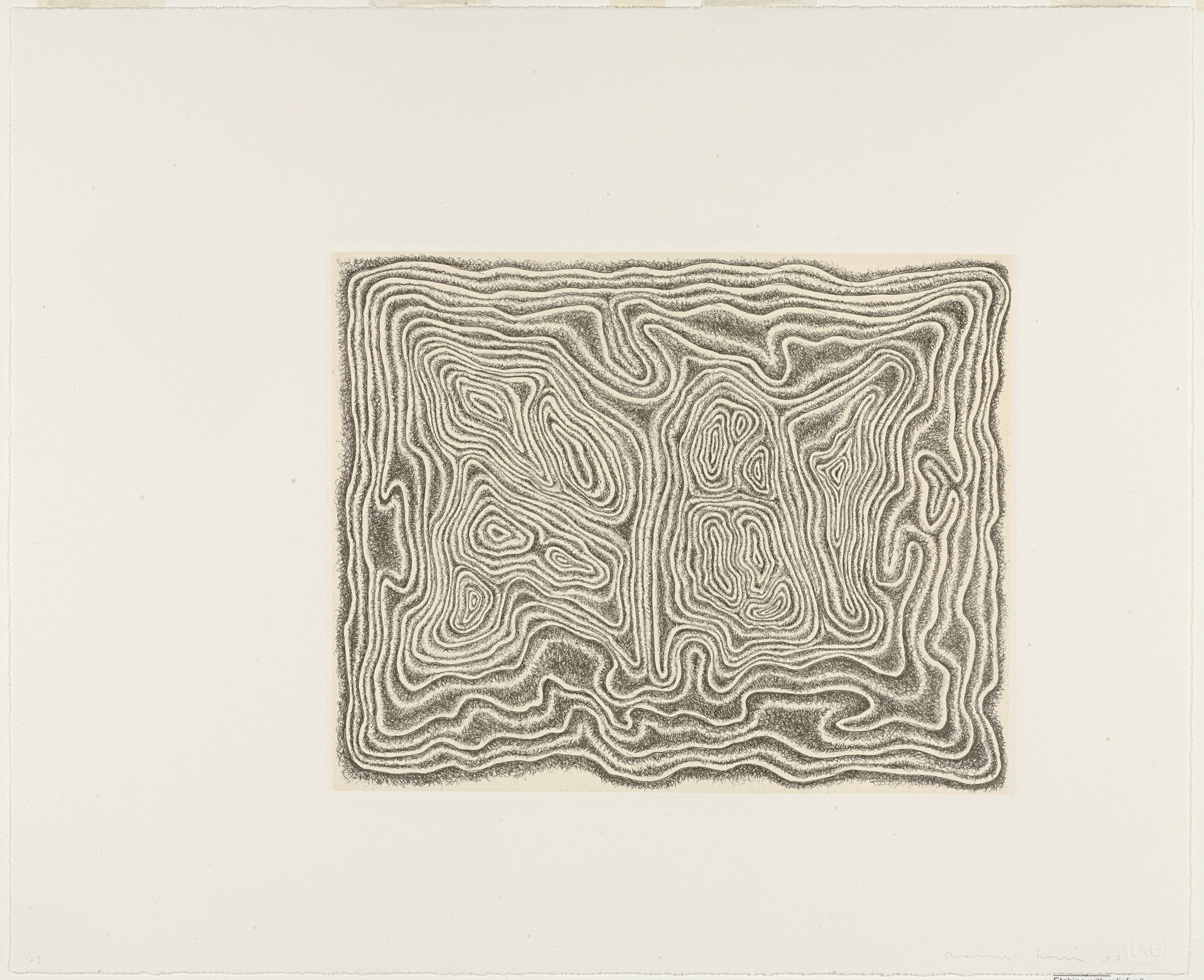 James Siena. Twisting Slab