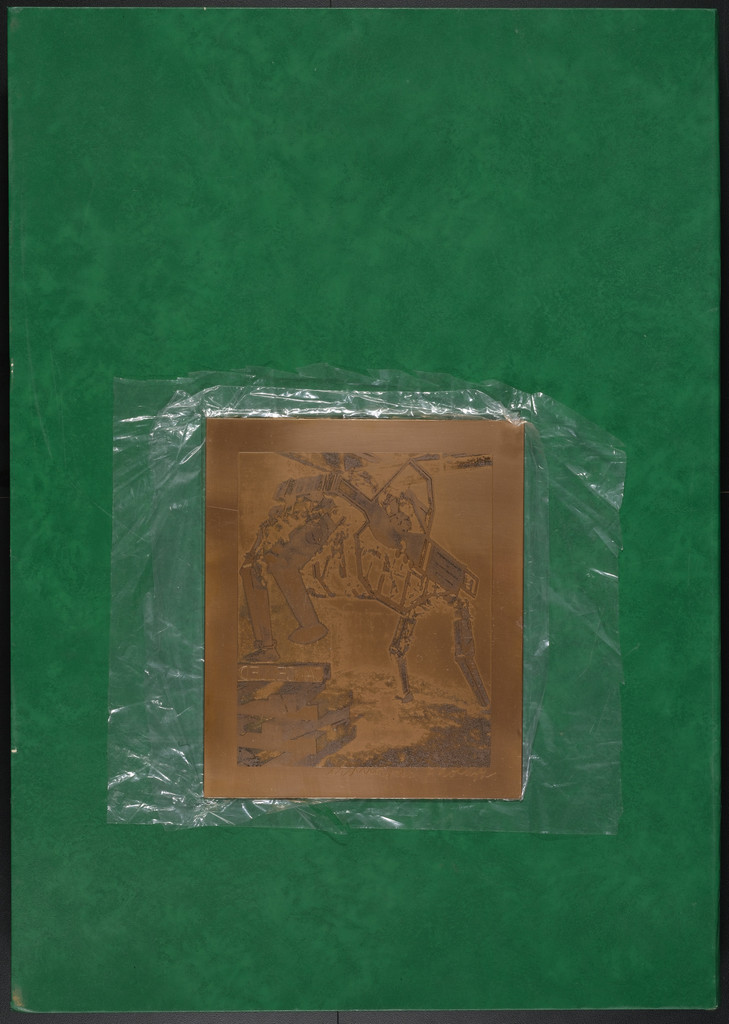 The Conditional Probability Machine