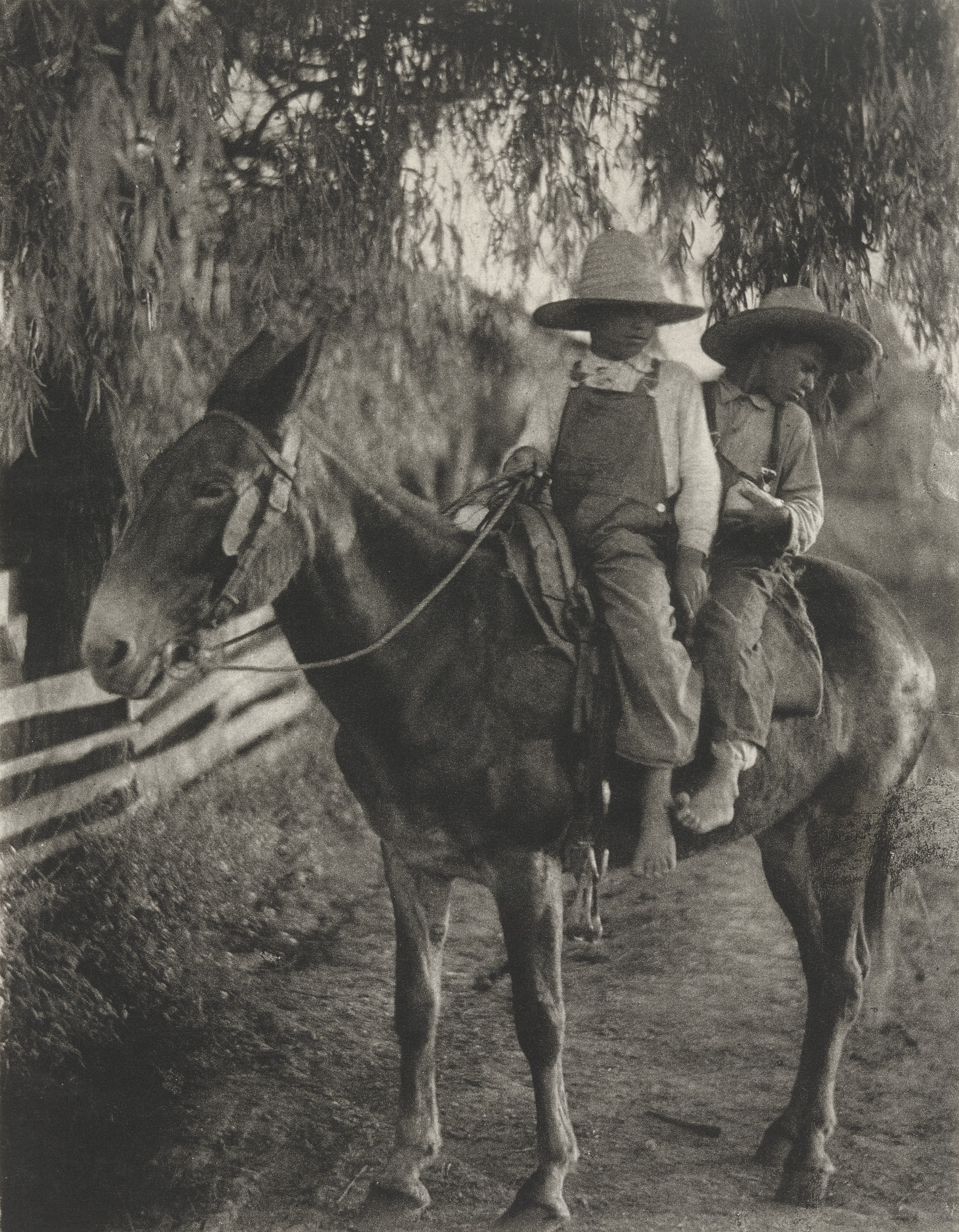 Doris Ulmann. Untitled