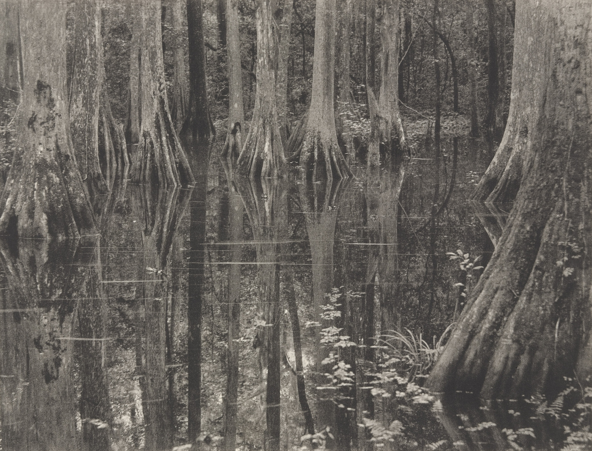 Doris Ulmann. Untitled