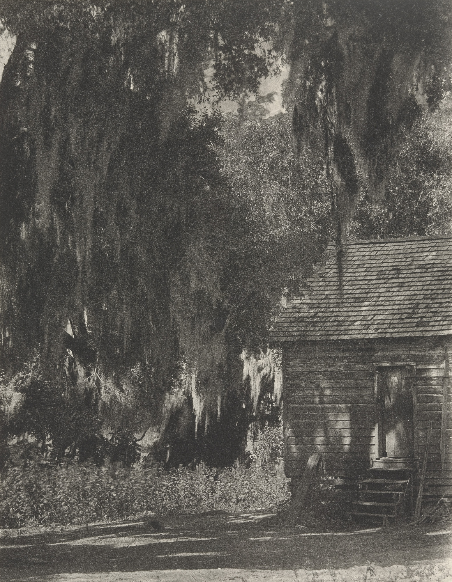 Doris Ulmann. Untitled