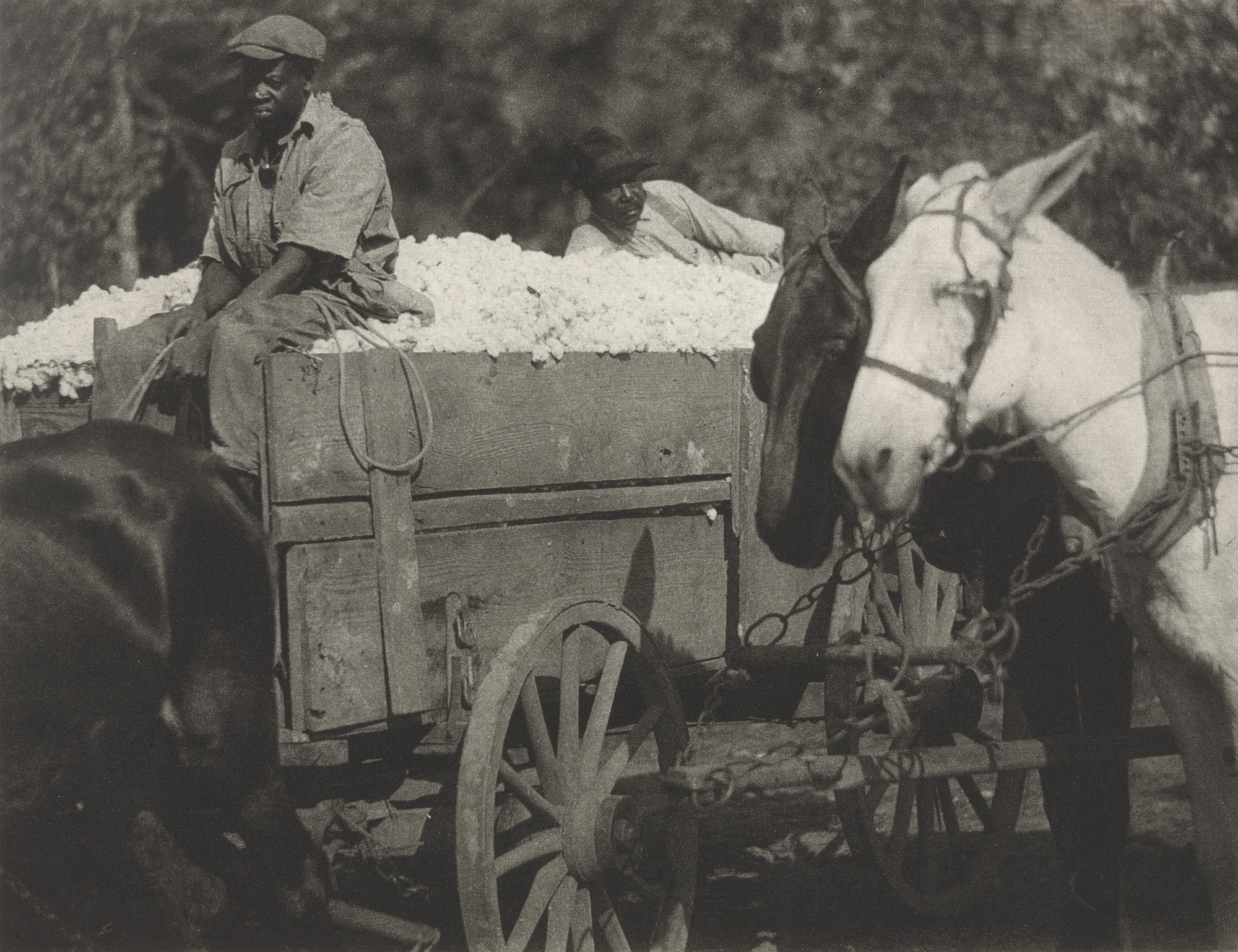 Doris Ulmann. Untitled