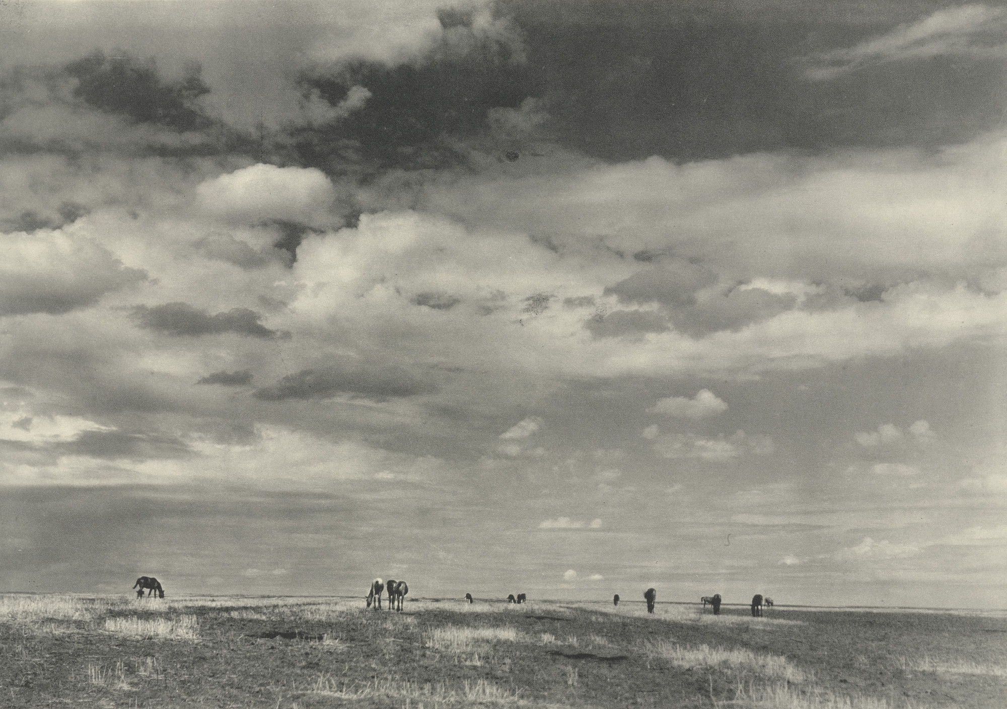 Margaret Bourke-White. The Steppe: Ukraine