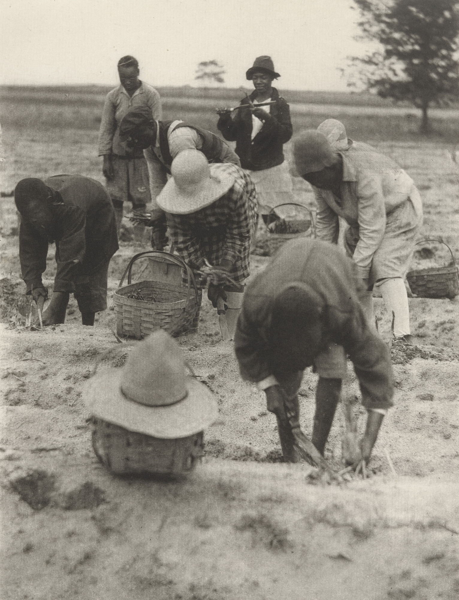 Doris Ulmann. Untitled
