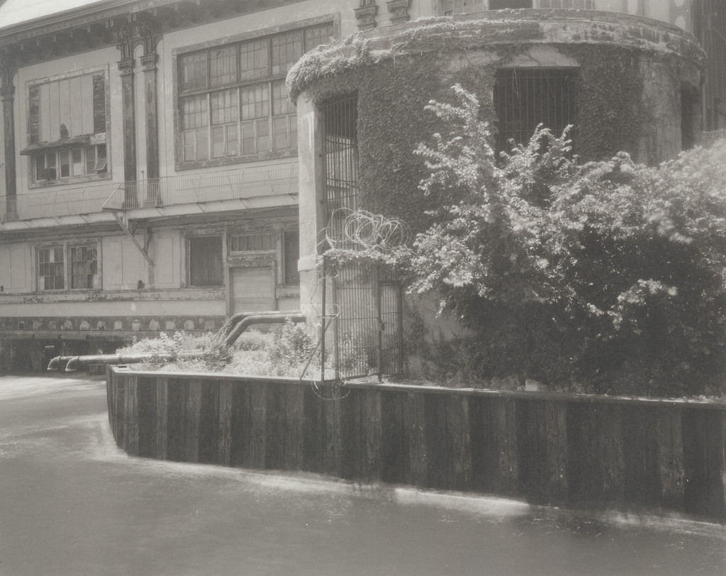 South View from 335 East 9th Roof