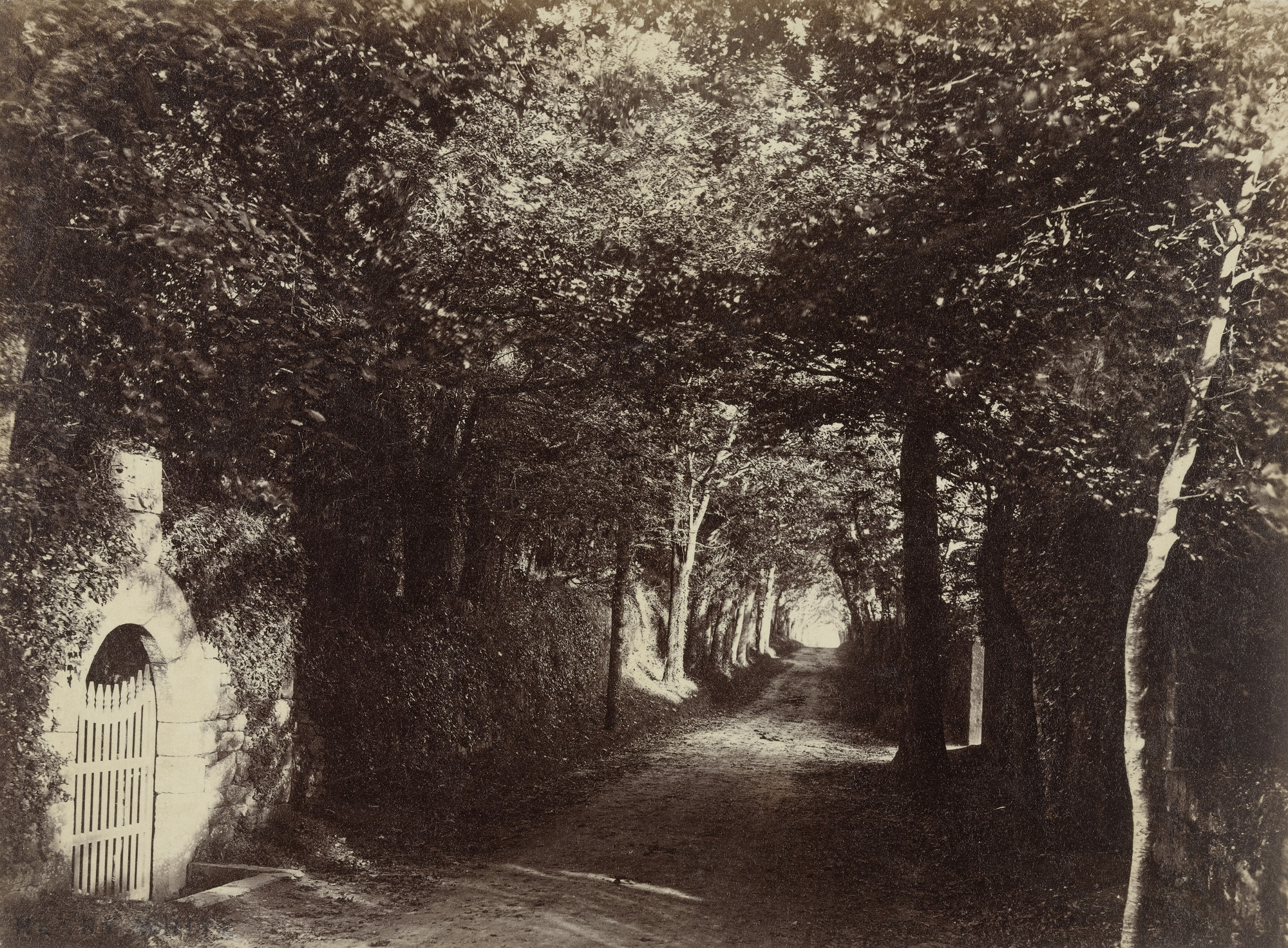 Henry White. Untitled