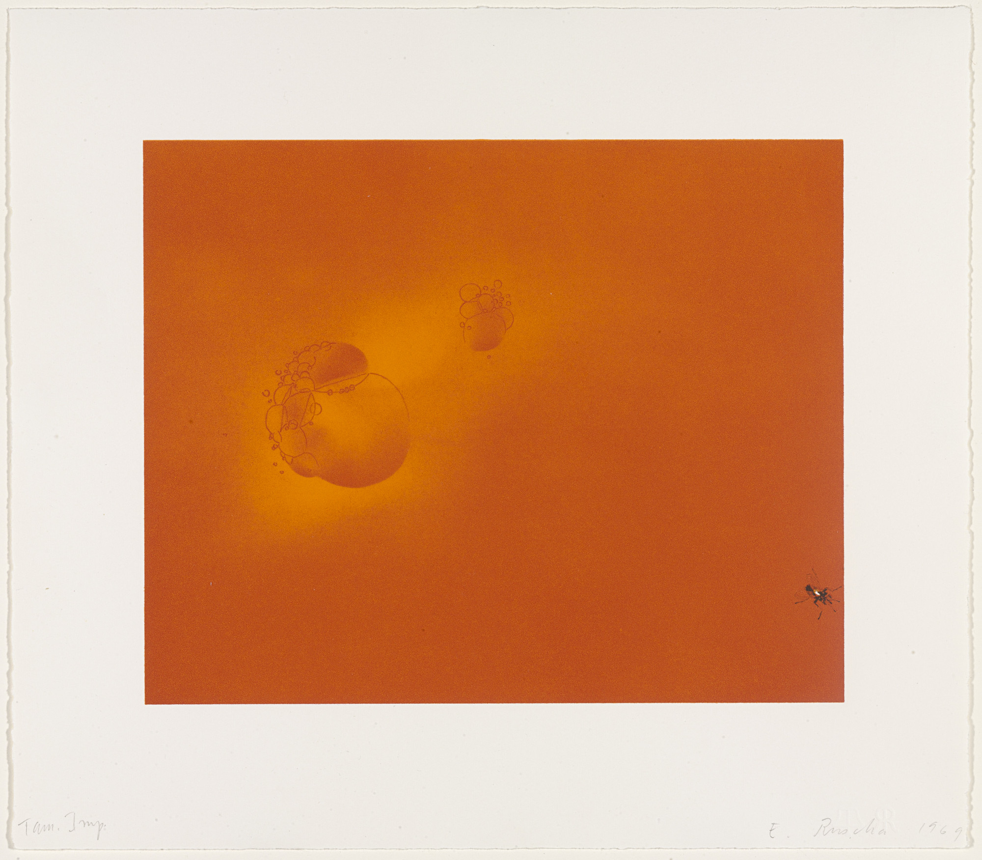 Edward Ruscha. Boiling Blood, Fly