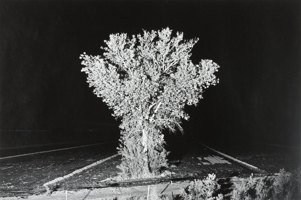 Untitled (No. 7, Socorro, New Mexico)