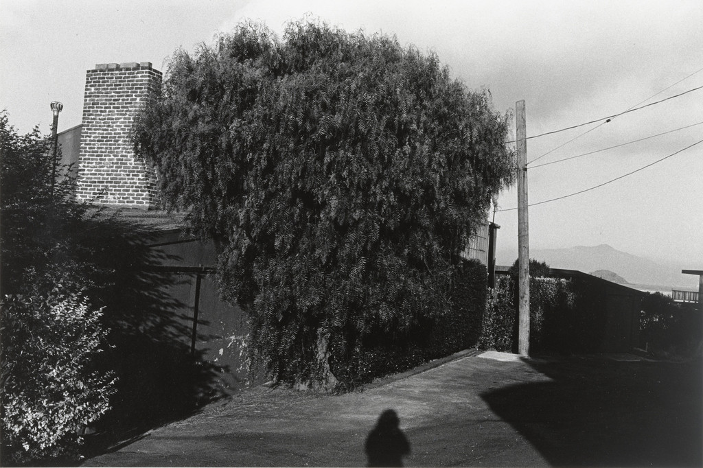 Untitled (No. 29, Point Richmond, California)