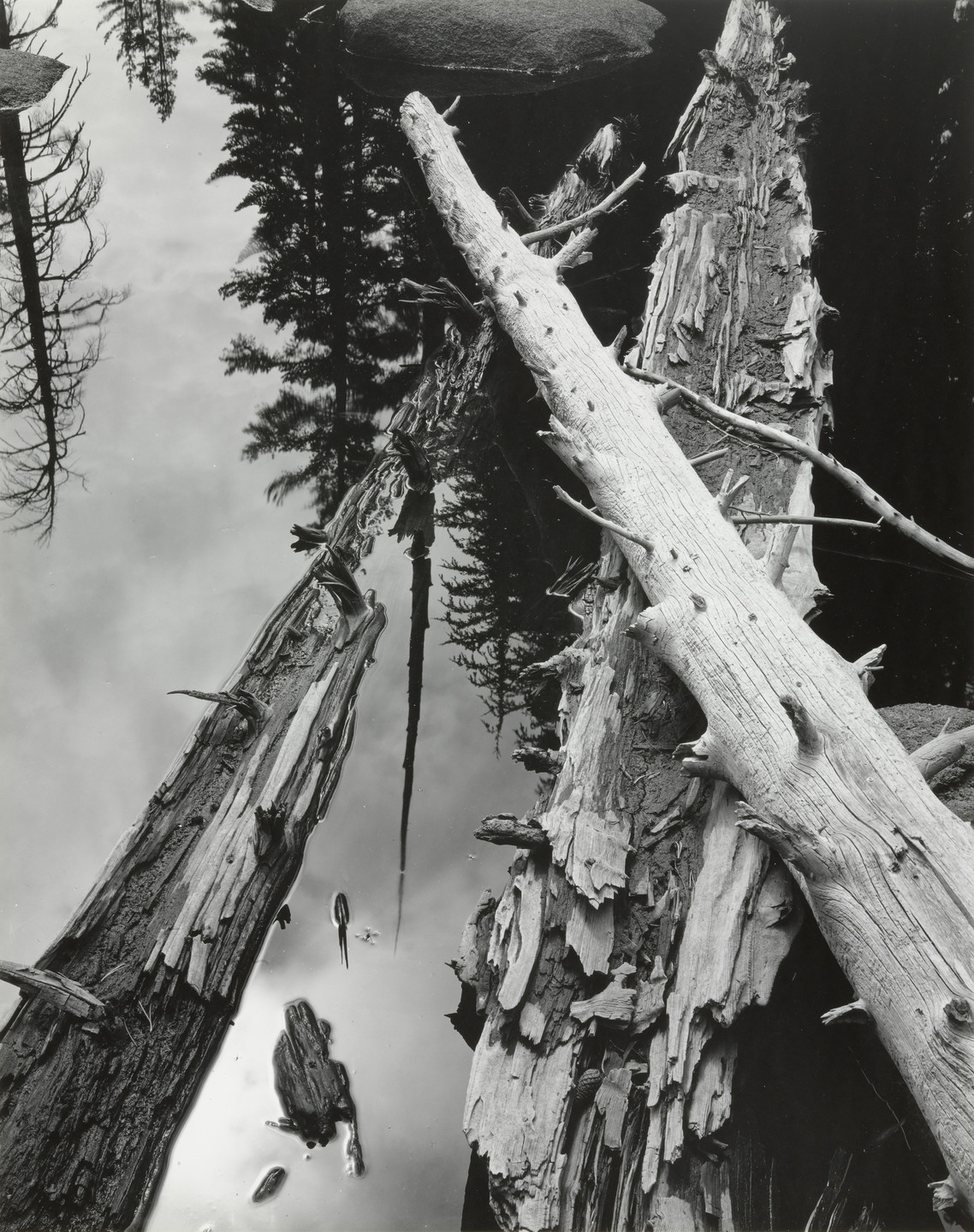 Brett Weston. Sierra Pool. 1951