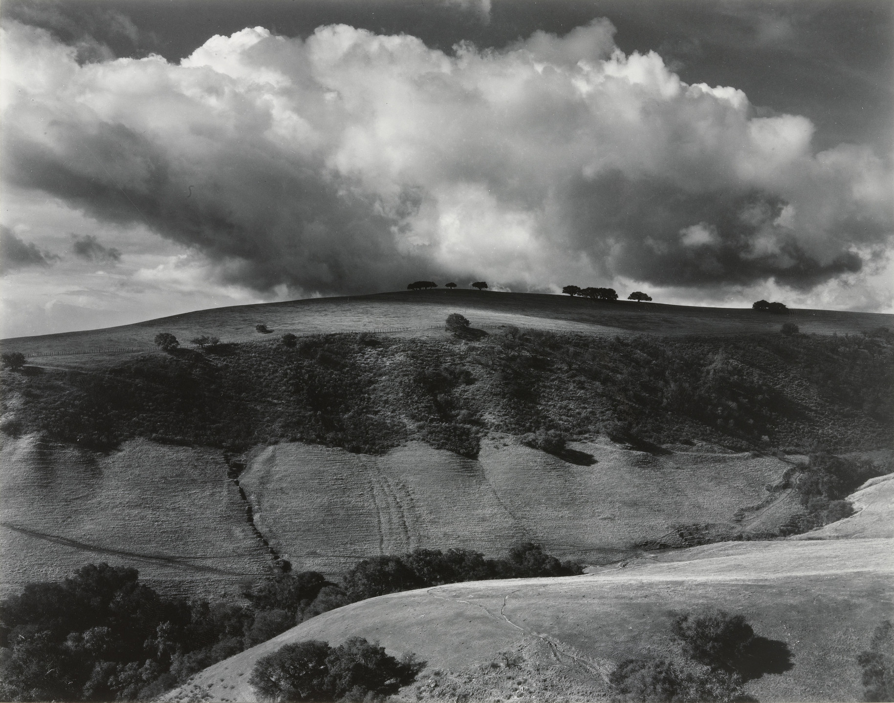 Brett Weston. Untitled. 1954