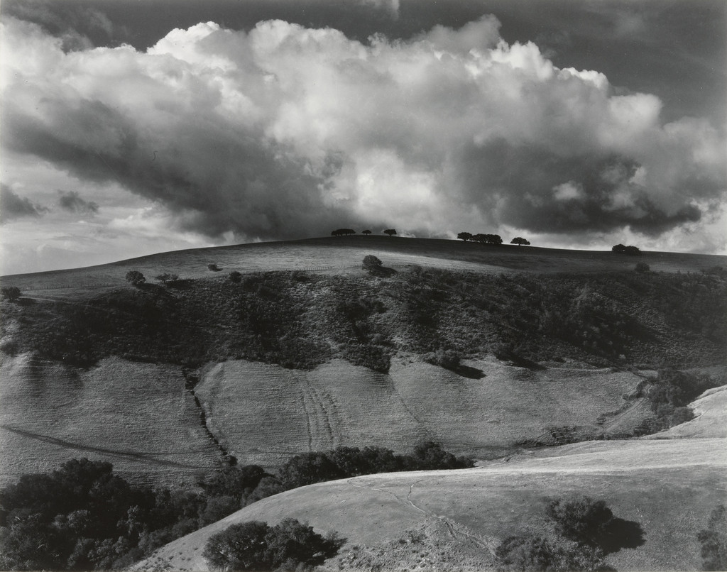 Untitled, Brett Weston, 1954