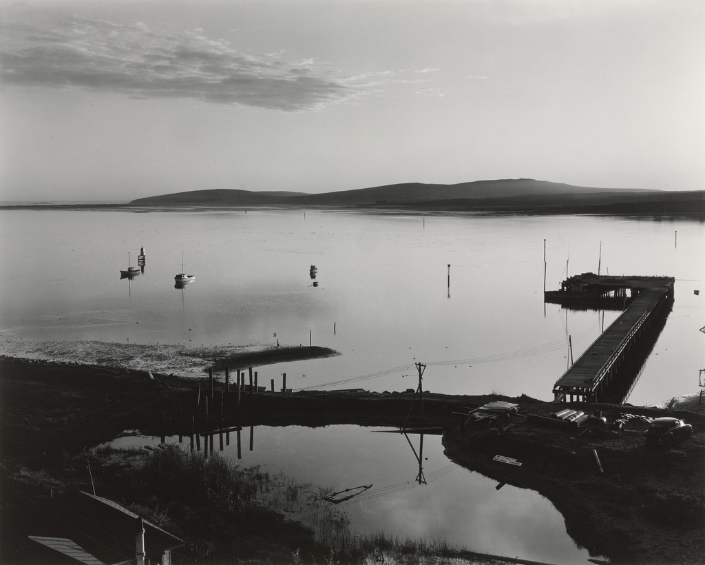 Bodega Bay, California