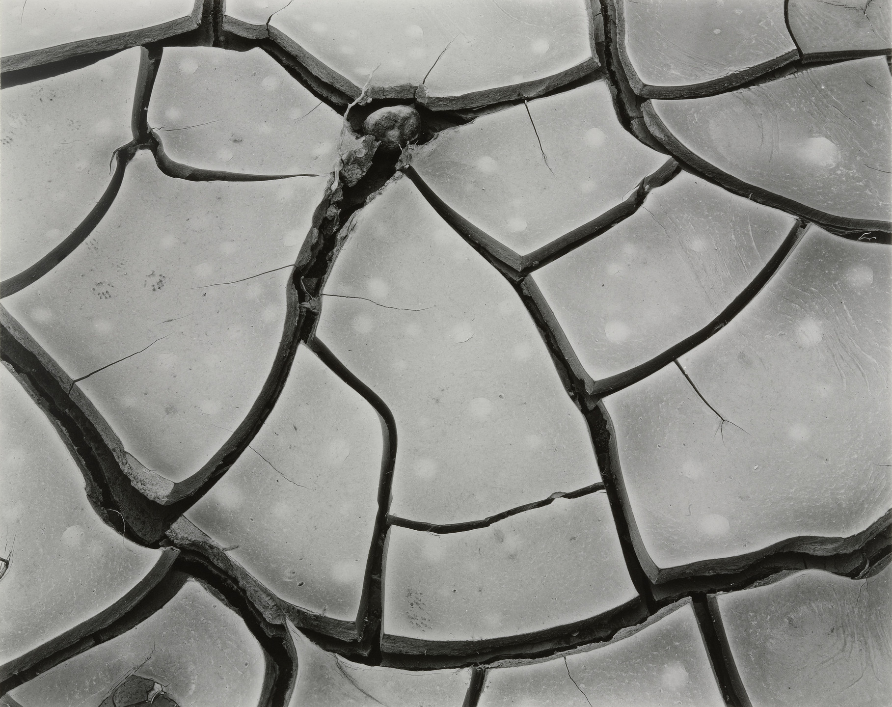 Brett Weston. Untitled. 1960