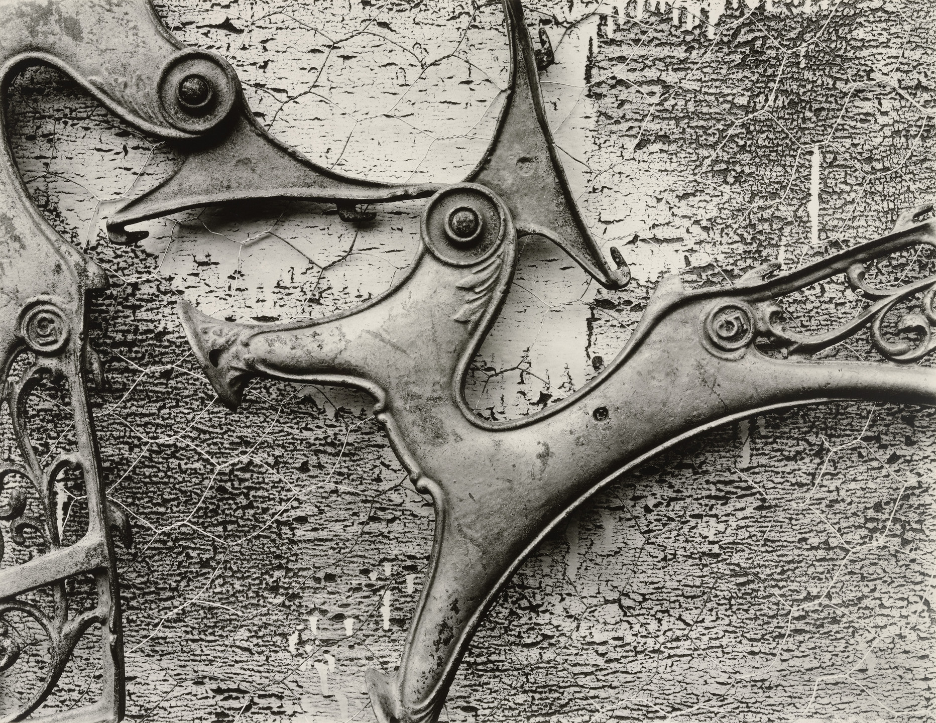 Brett Weston. Untitled. 1952