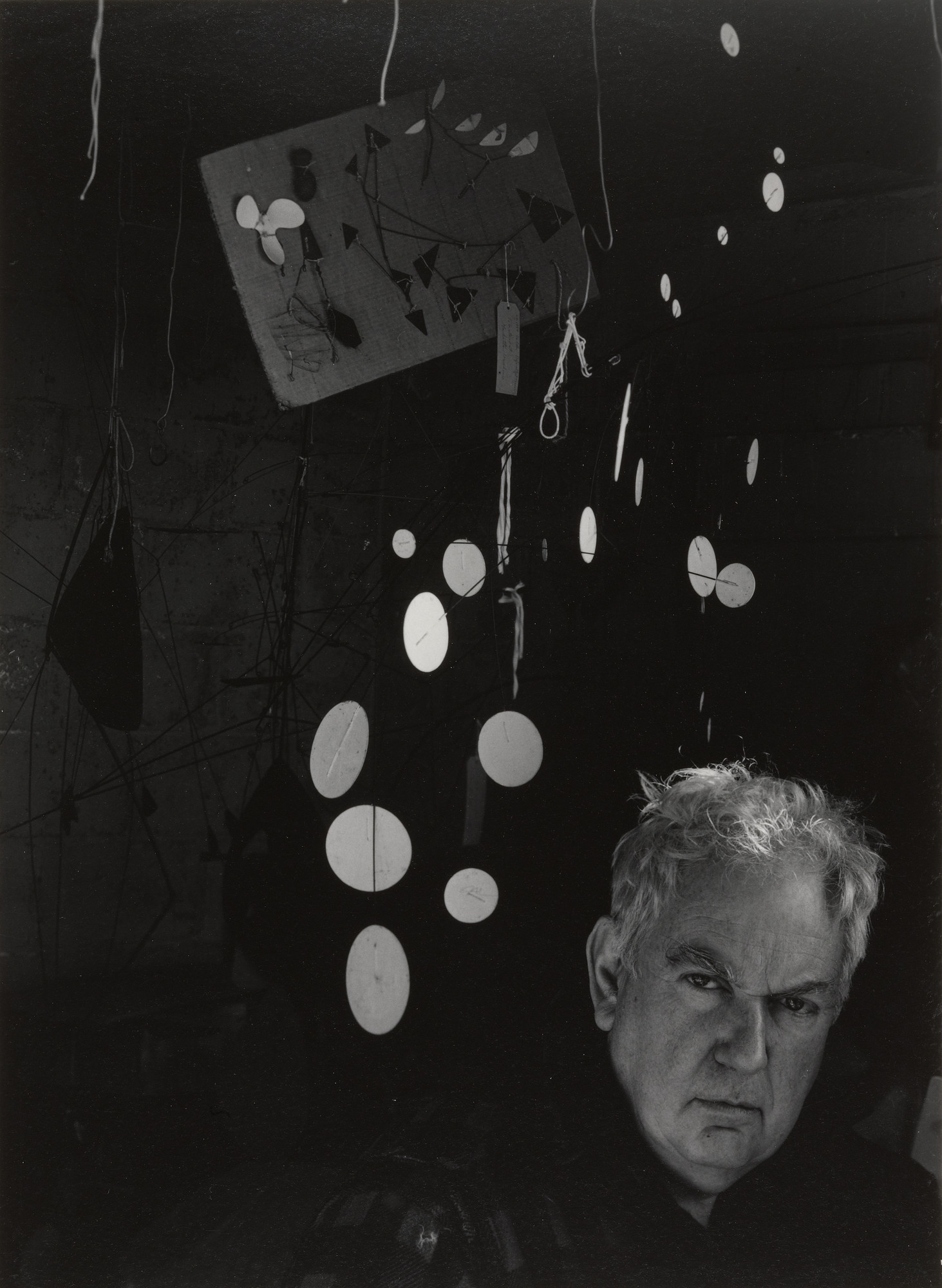 Arnold Newman. Alexander Calder