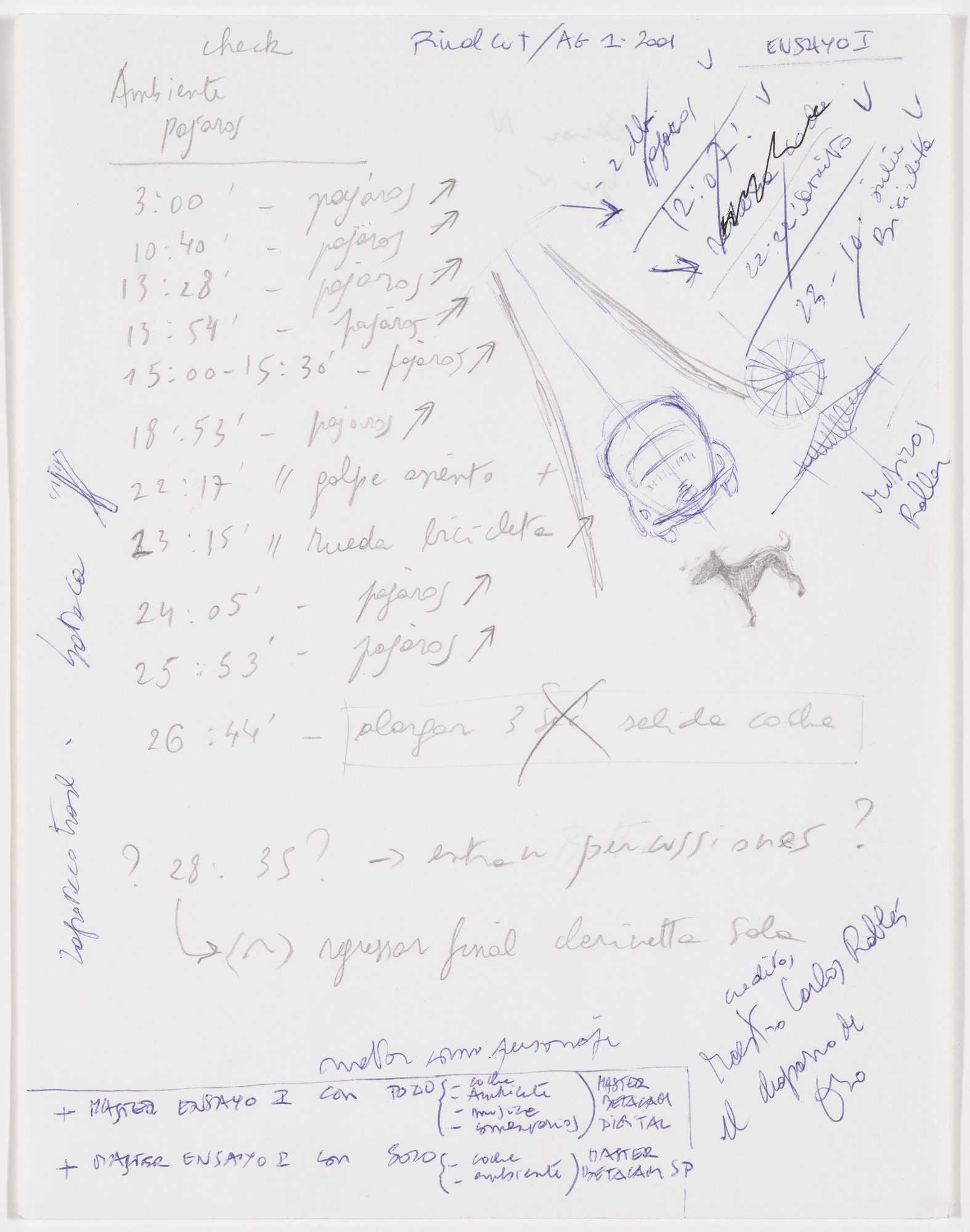 Francis Alÿs. Untitled