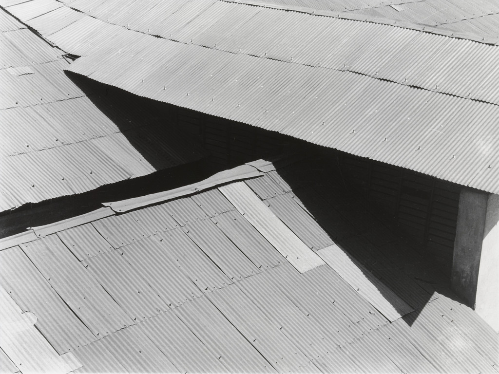 Corrugated Iron Roof