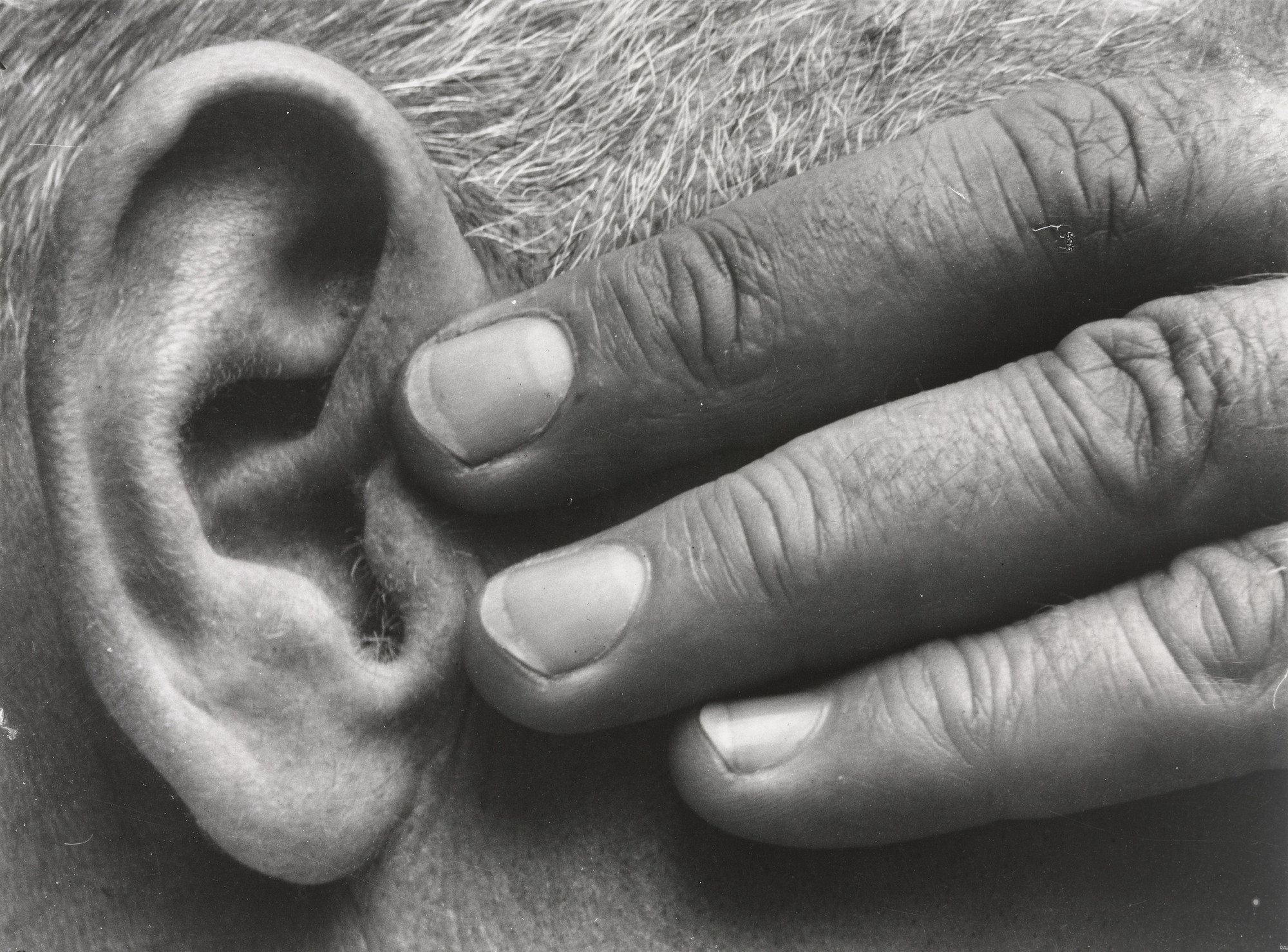 Brett Weston. Hand and Ear. 1928 | MoMA