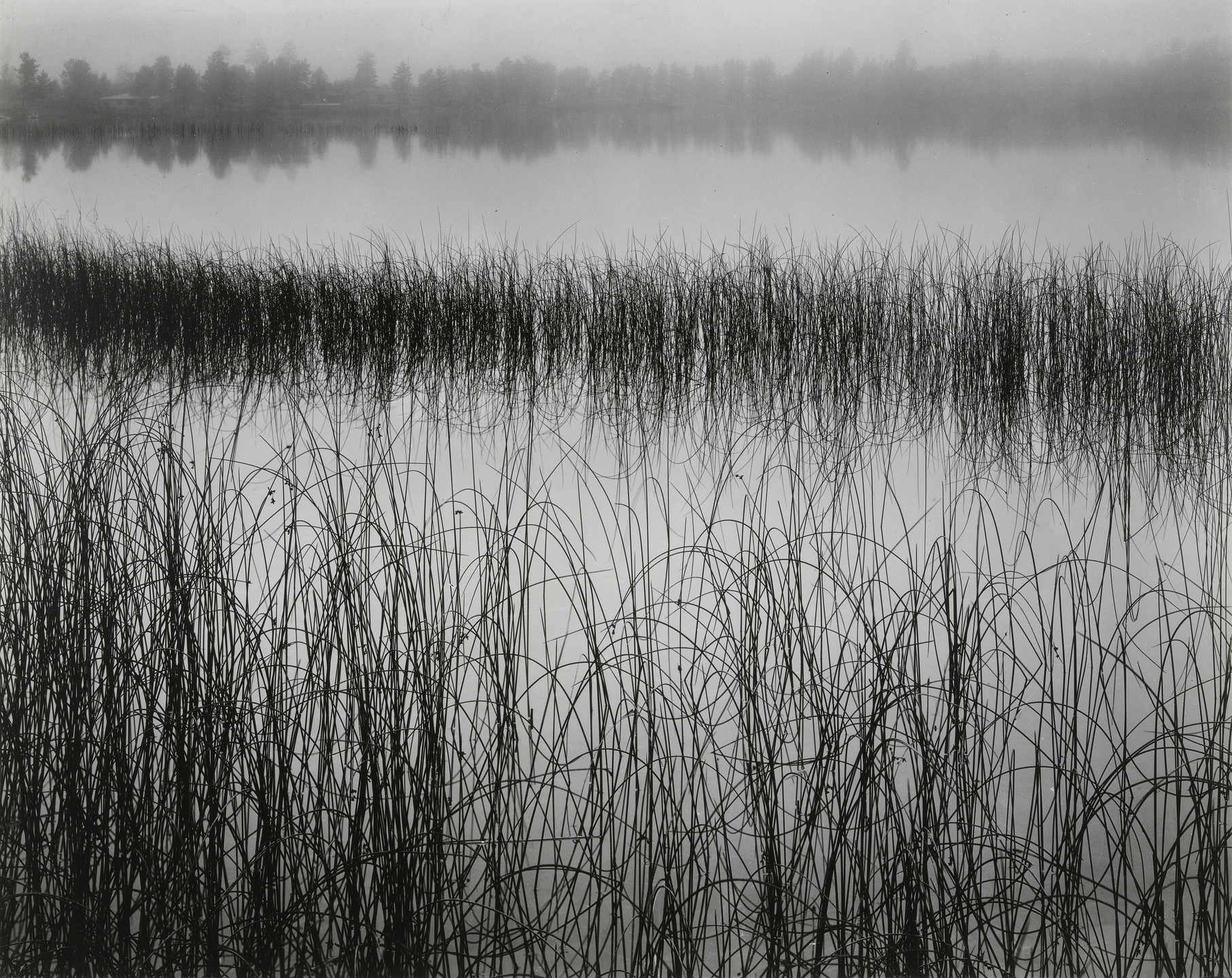 Brett Weston. Wisconsin. 1956