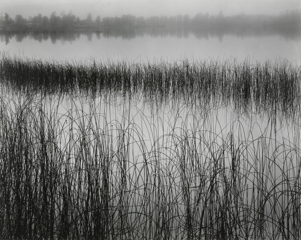 Wisconsin, Brett Weston, 1956