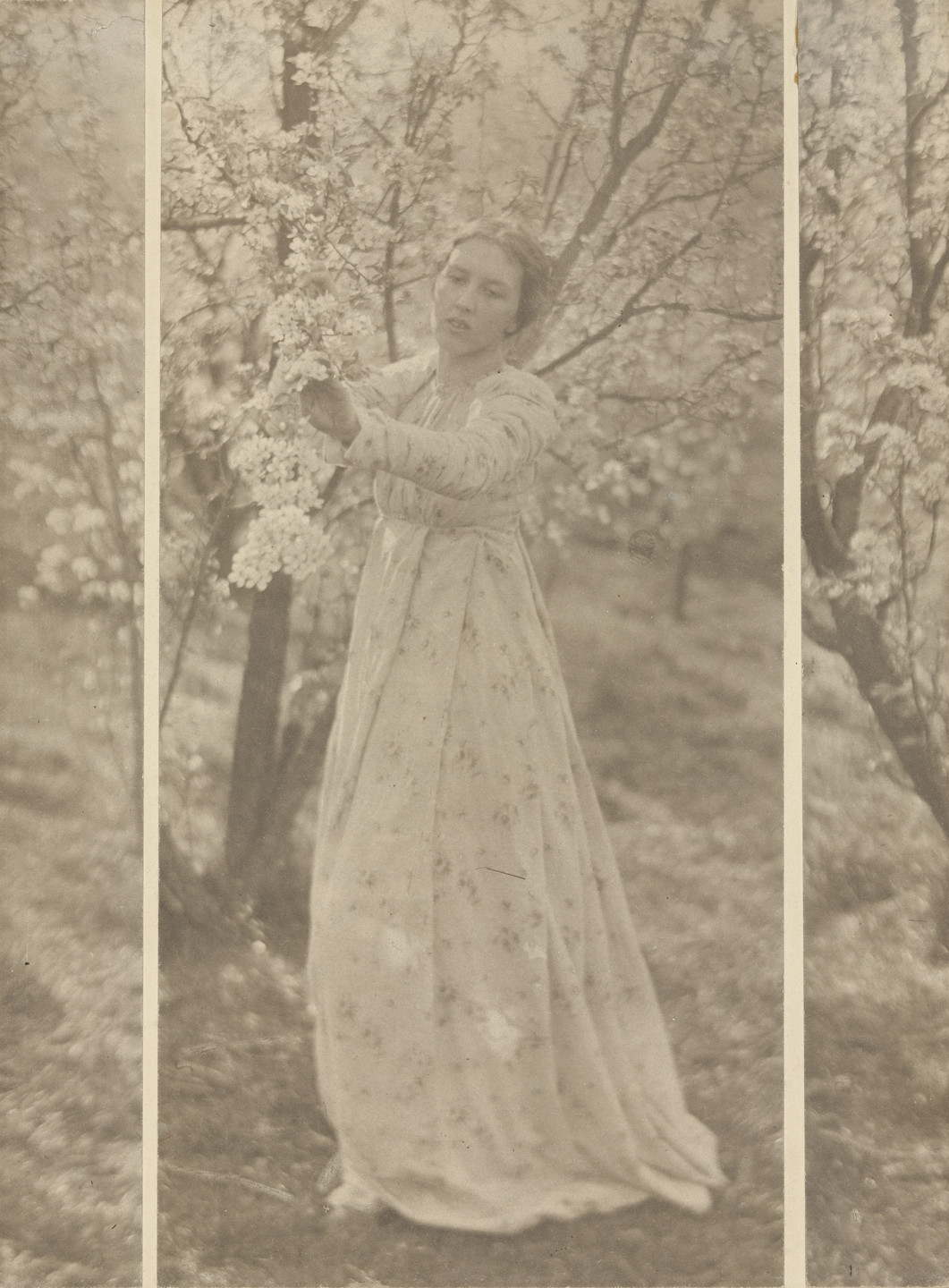 Clarence H. White. Spring. 1898