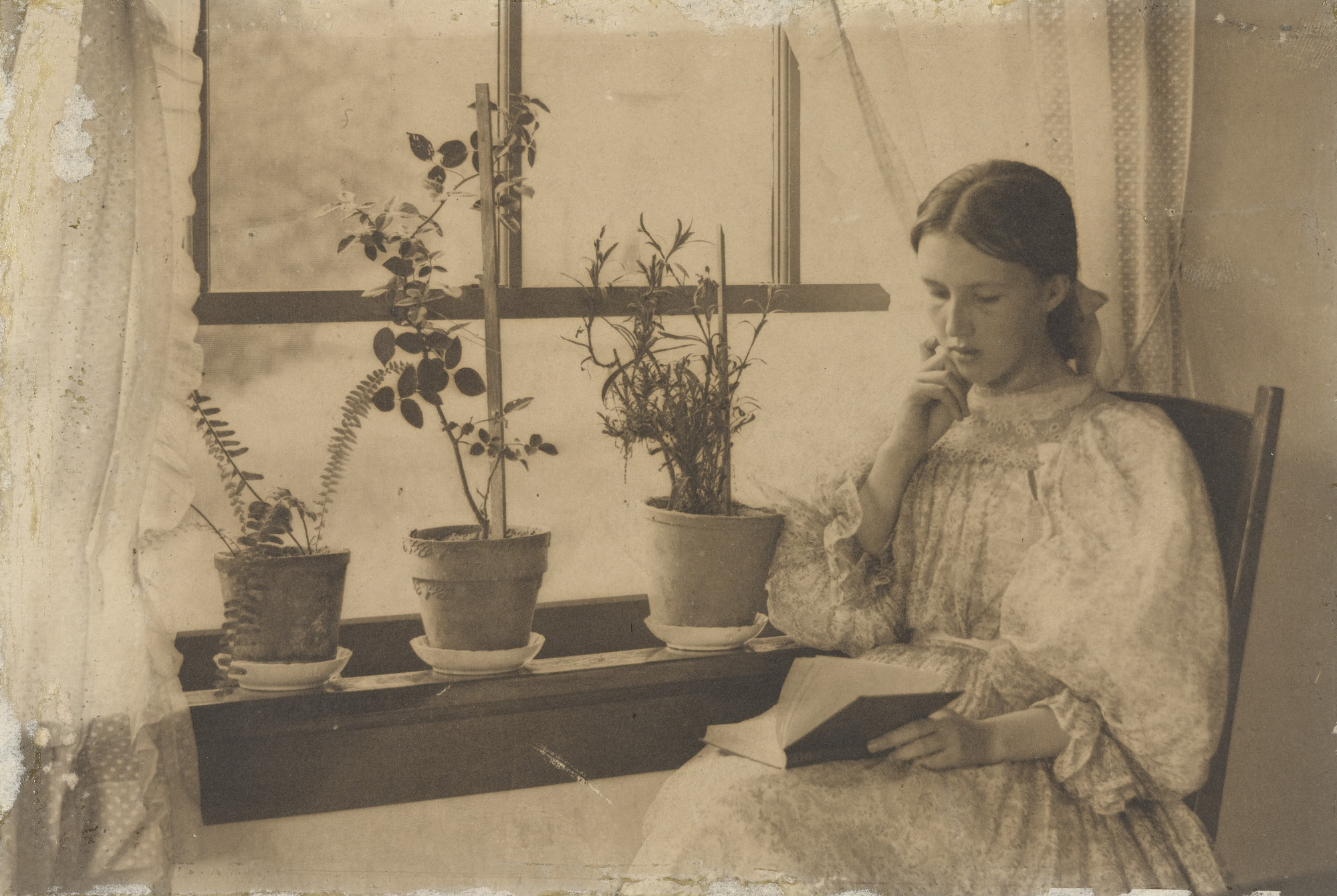 Clarence H. White. Untitled. 1896