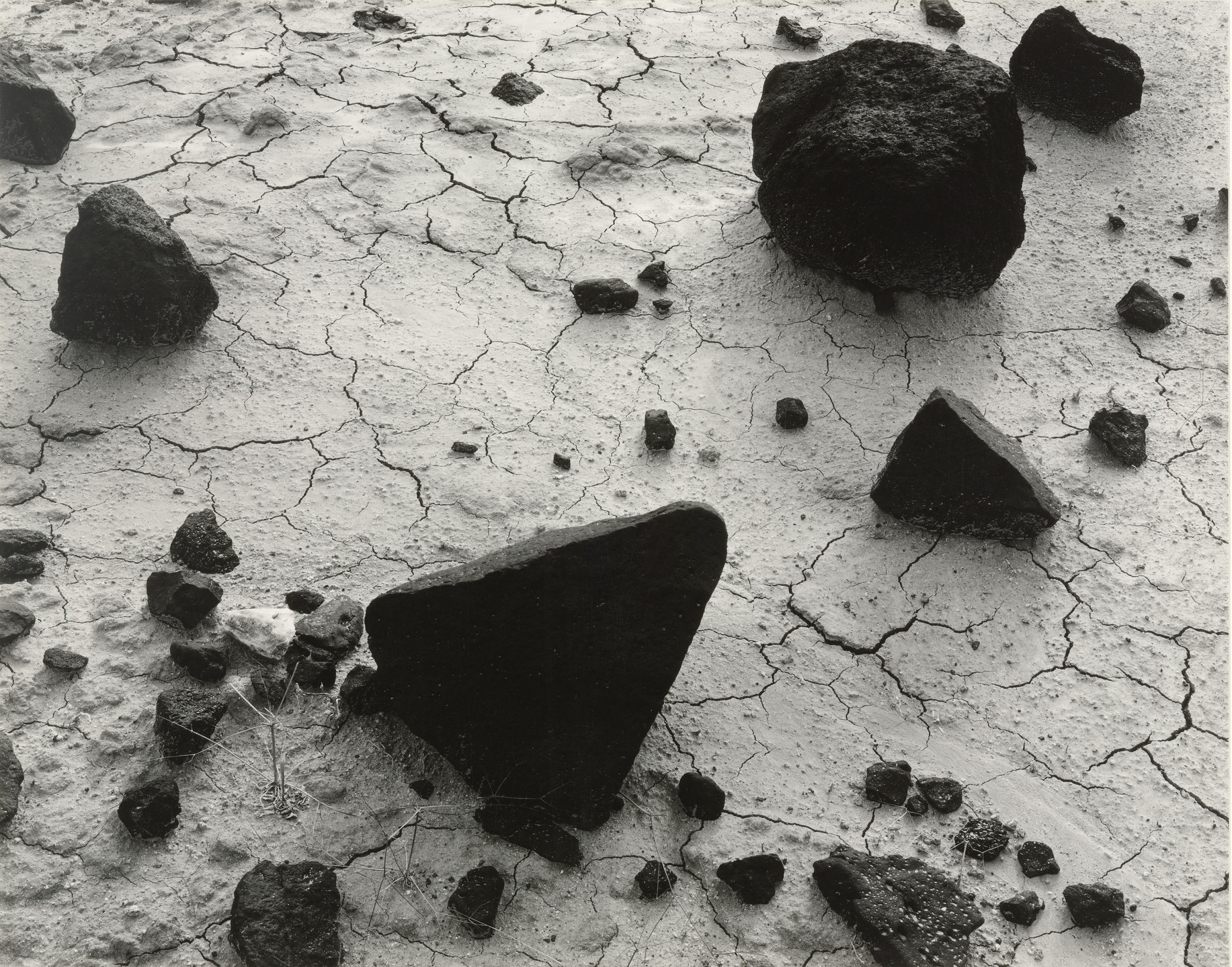 Brett Weston. Owen's Valley. 1954