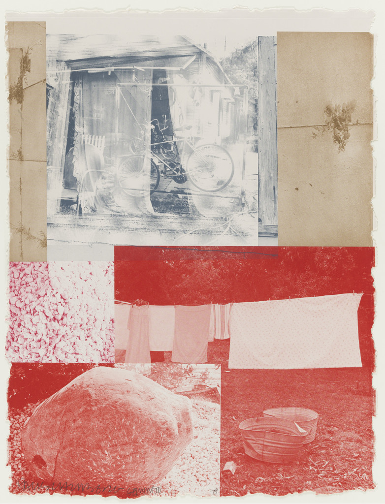 Rose Bay from the series Rookery Mounds