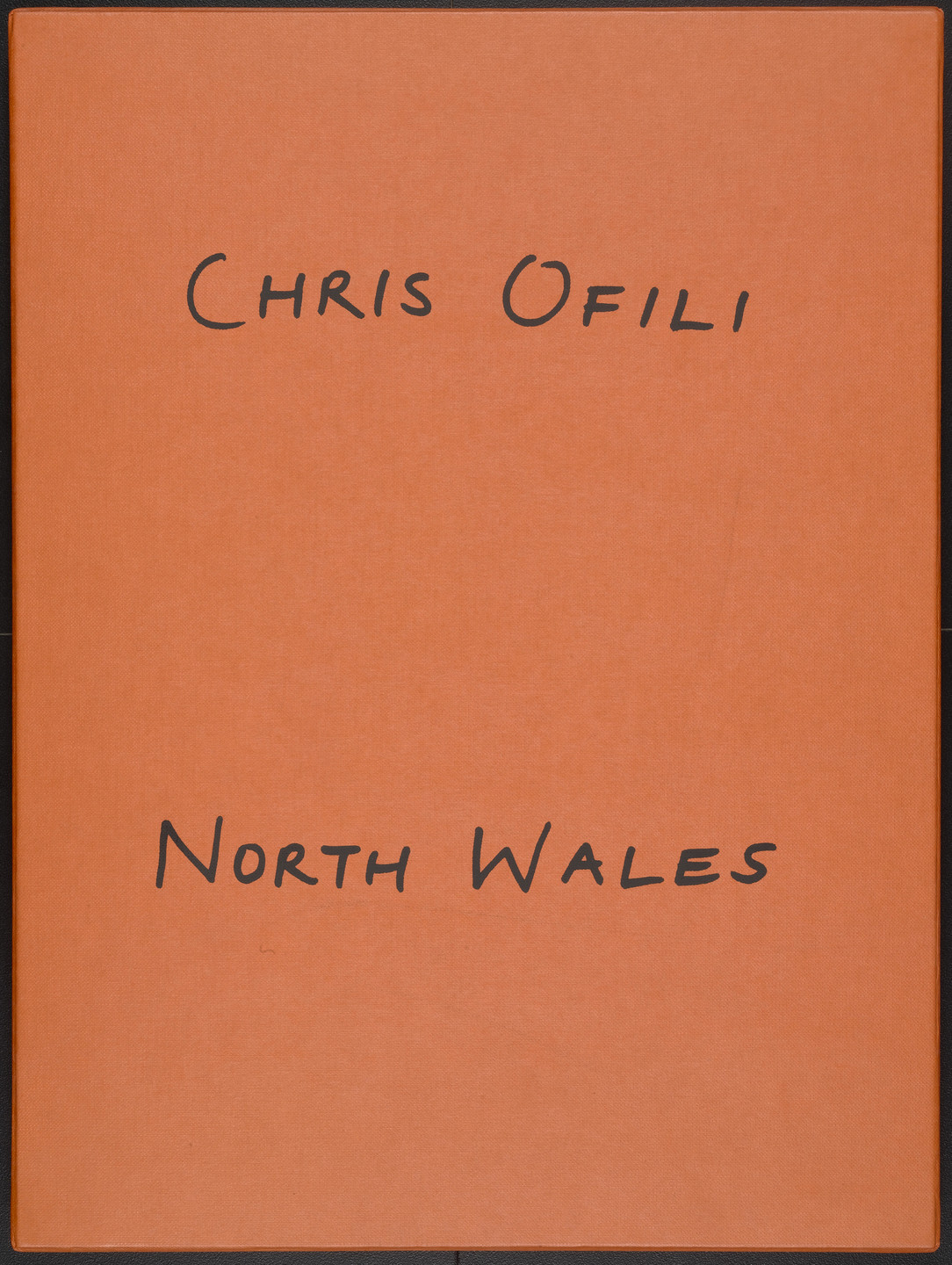 Chris Ofili. North Wales. 1996