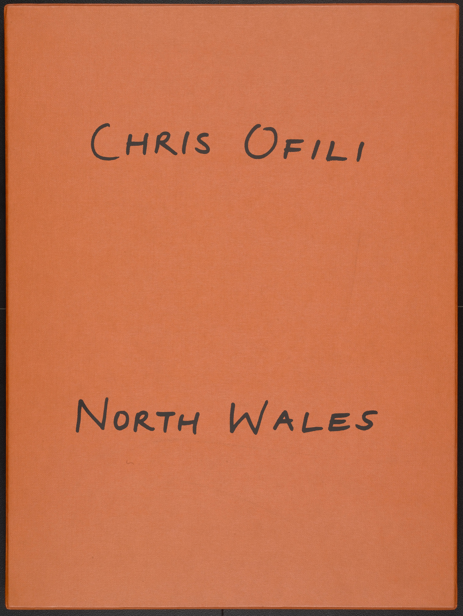 Chris Ofili. North Wales