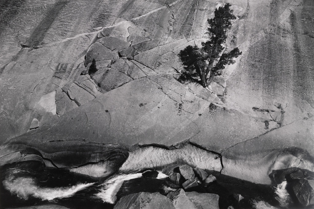 Juniper, Cliffs and River, Upper Merced River Canyon, Yosemite National Park, California