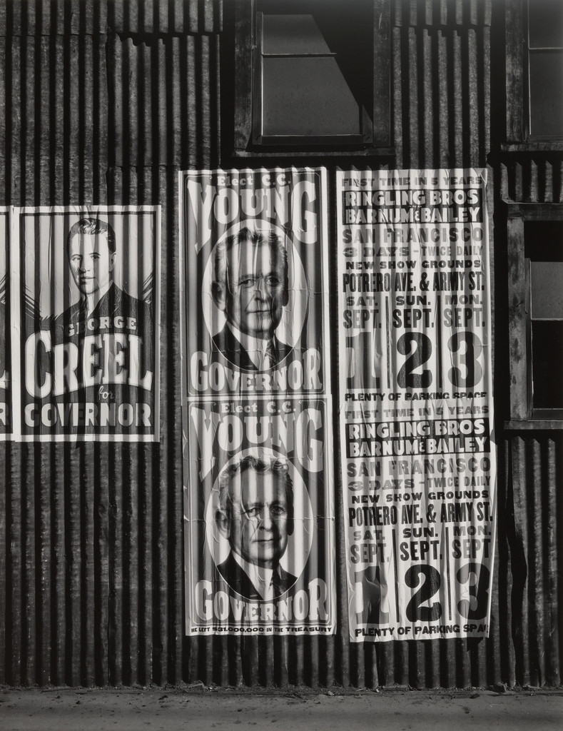 Political Circus