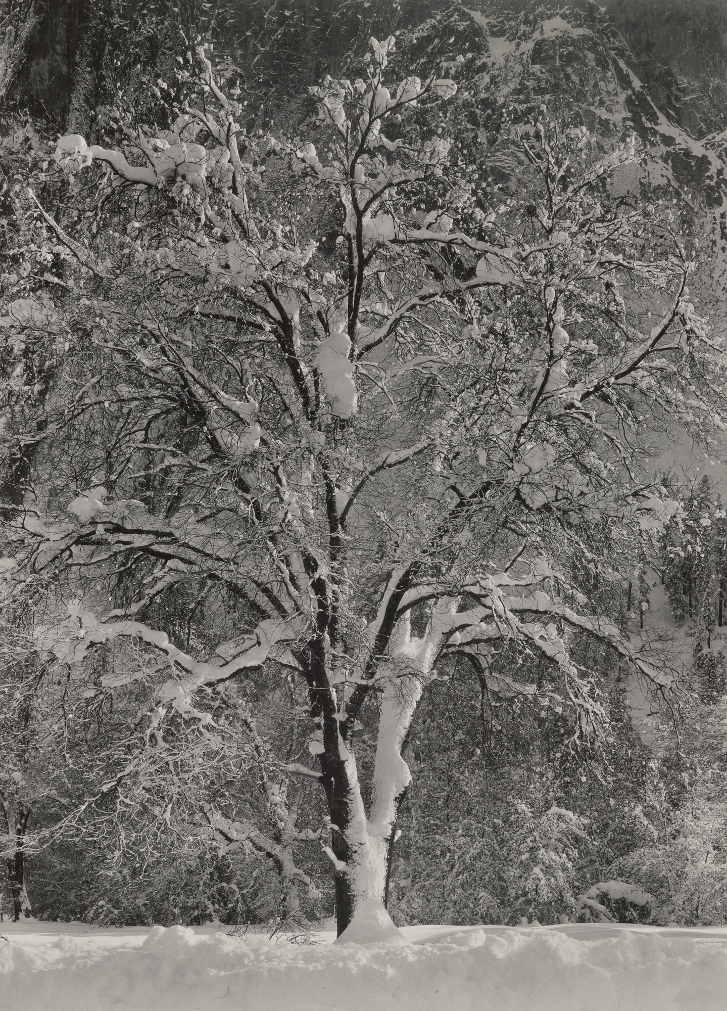Ansel Adams. Yosemite in Winter