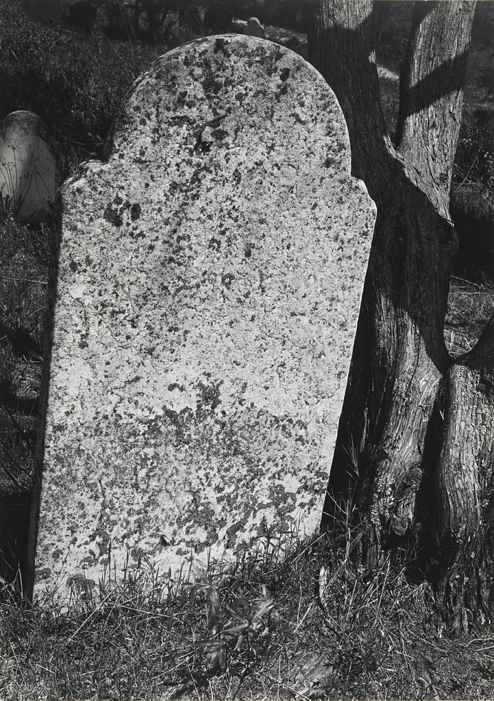 Tombstone near Provincetown, Massachusetts