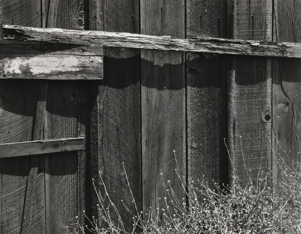 Fence