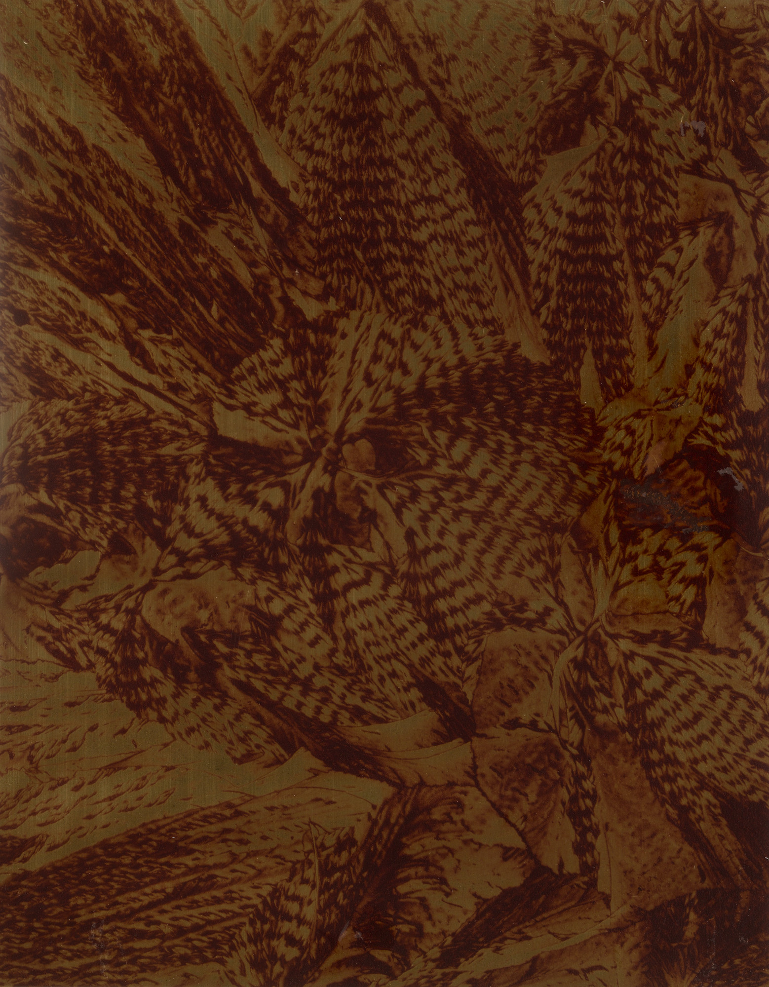 Laure Albin-Guillot. Margaritic Acid
