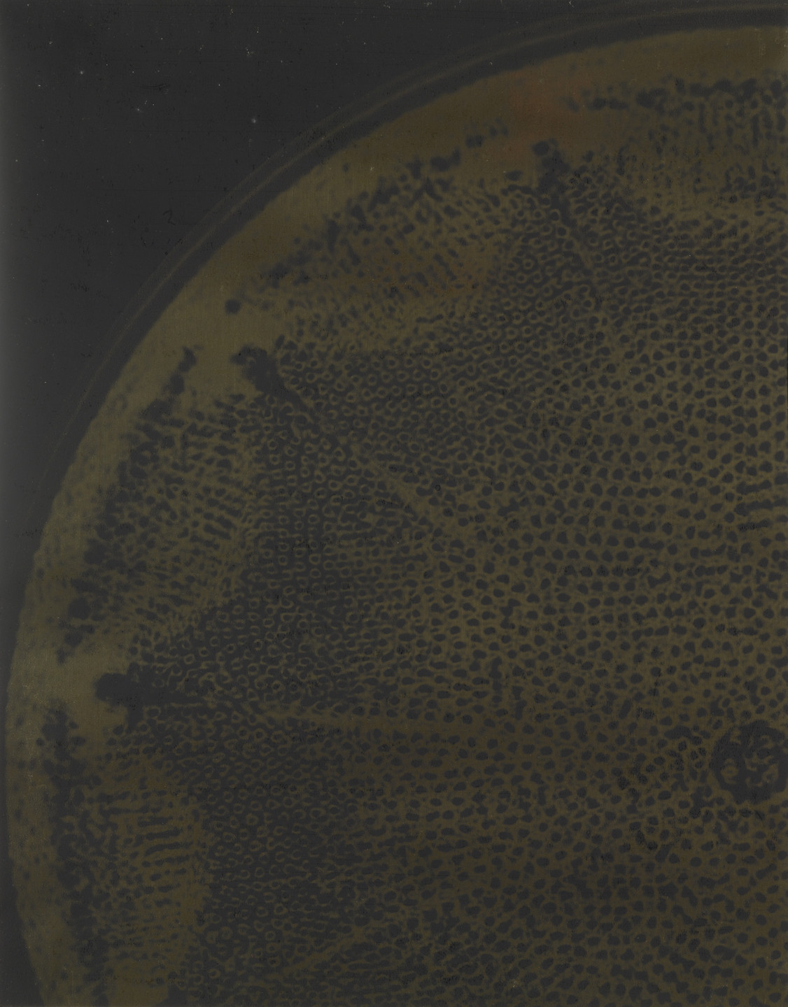 Laure Albin-Guillot. Diatomic Molecule. 1931