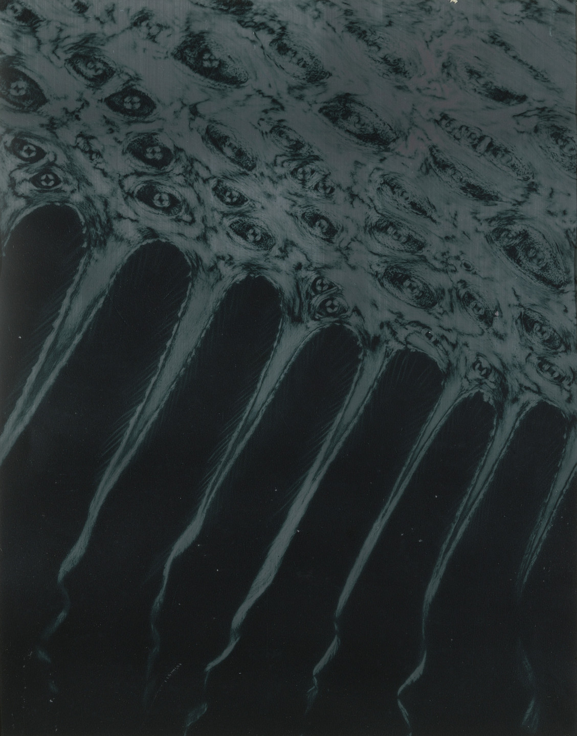 Laure Albin-Guillot. Horse Hoof. 1931