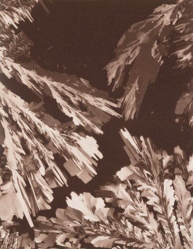 Citric Acid